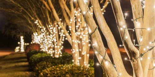 Commercial Holiday Light Installation