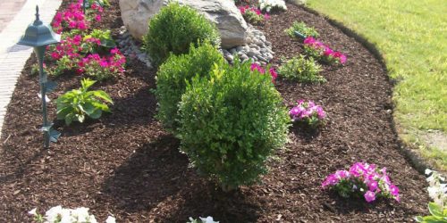 Mulch Installation