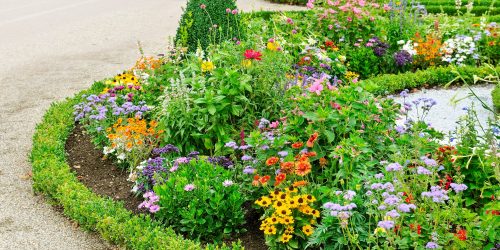 Plant Installation
