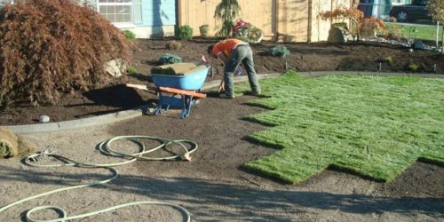 Sod Installation