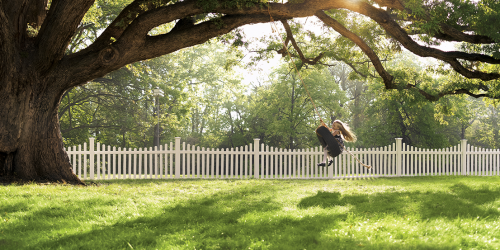 Fence Installation